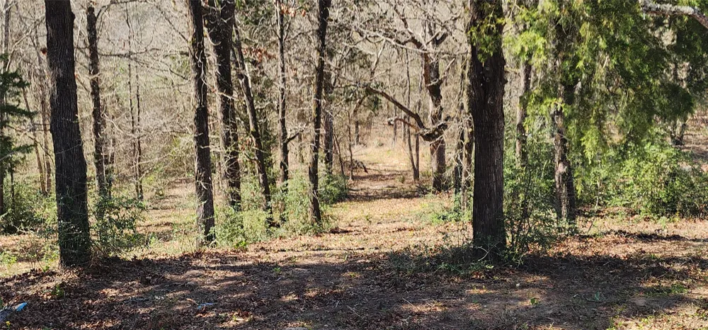 14612 County Road 1114 Athens, TX 75751