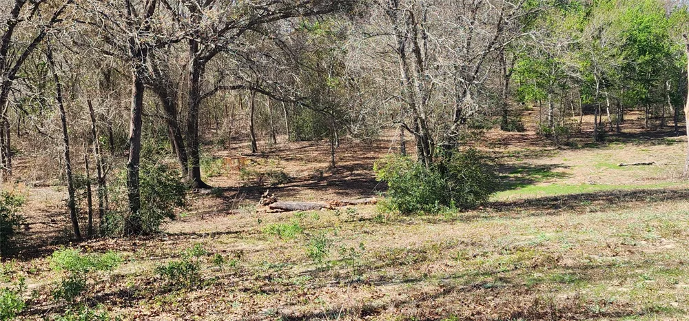 14612 County Road 1114 Athens, TX 75751