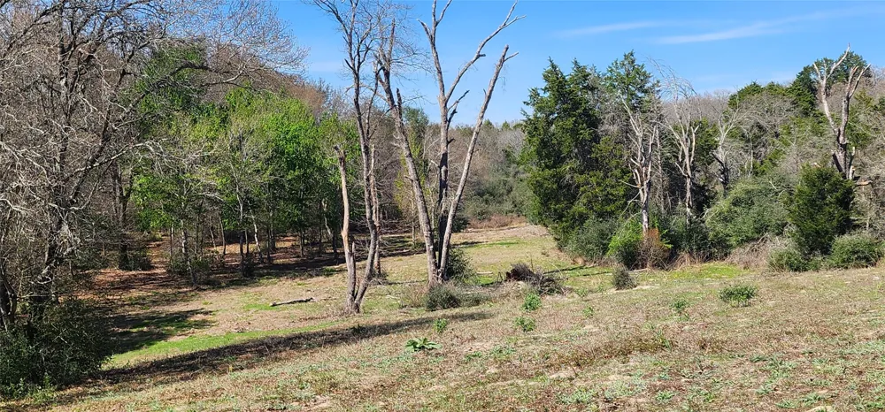 14612 County Road 1114 Athens, TX 75751