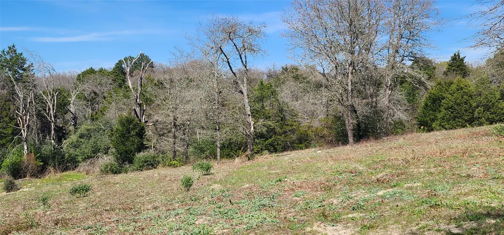14612 County Road 1114 Athens, TX 75751