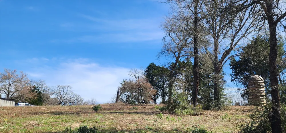 14612 County Road 1114 Athens, TX 75751