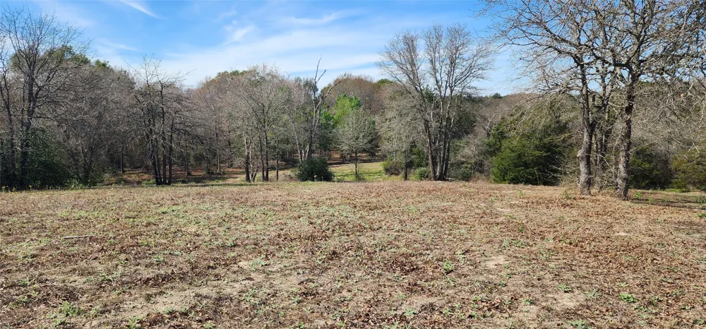 14612 County Road 1114 Athens, TX 75751