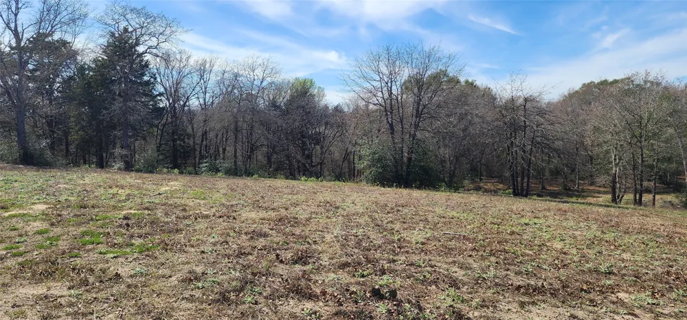 14612 County Road 1114 Athens, TX 75751
