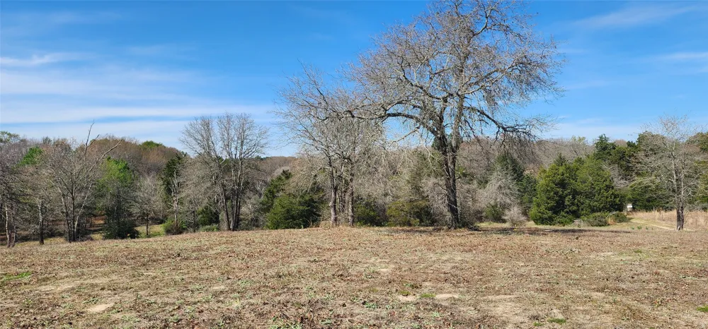 14612 County Road 1114 Athens, TX 75751