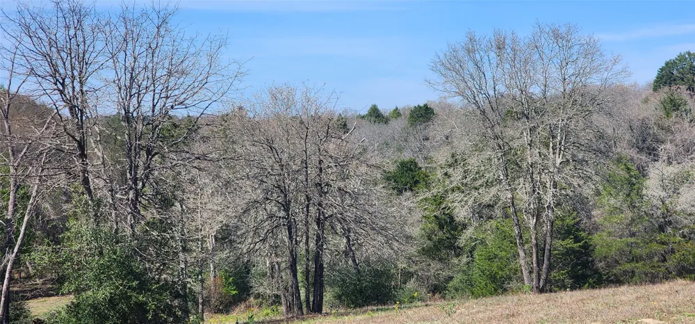 14612 County Road 1114 Athens, TX 75751