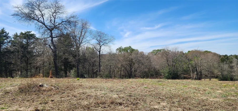 14612 County Road 1114 Athens, TX 75751