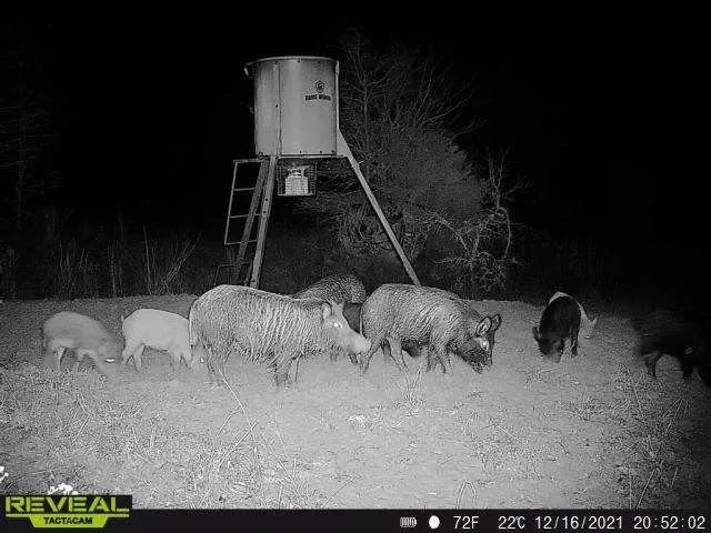 14612 County Road 1114 Athens, TX 75751