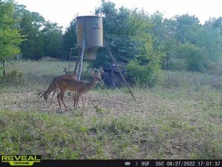 14612 County Road 1114 Athens, TX 75751