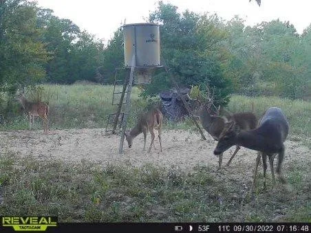 14612 County Road 1114 Athens, TX 75751