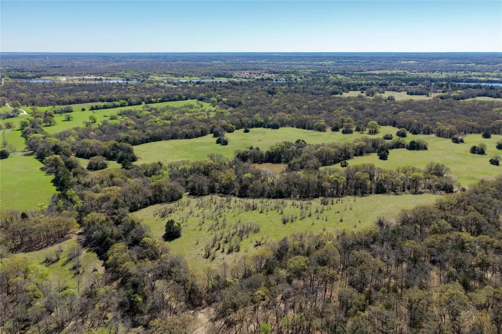 FM 429 Terrell, TX 75161