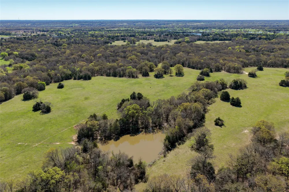 FM 429 Terrell, TX 75161