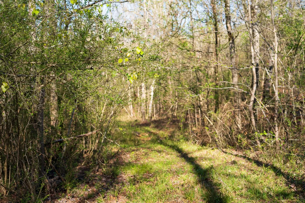 Farm to Market Road 747 Jacksonville, TX 75766