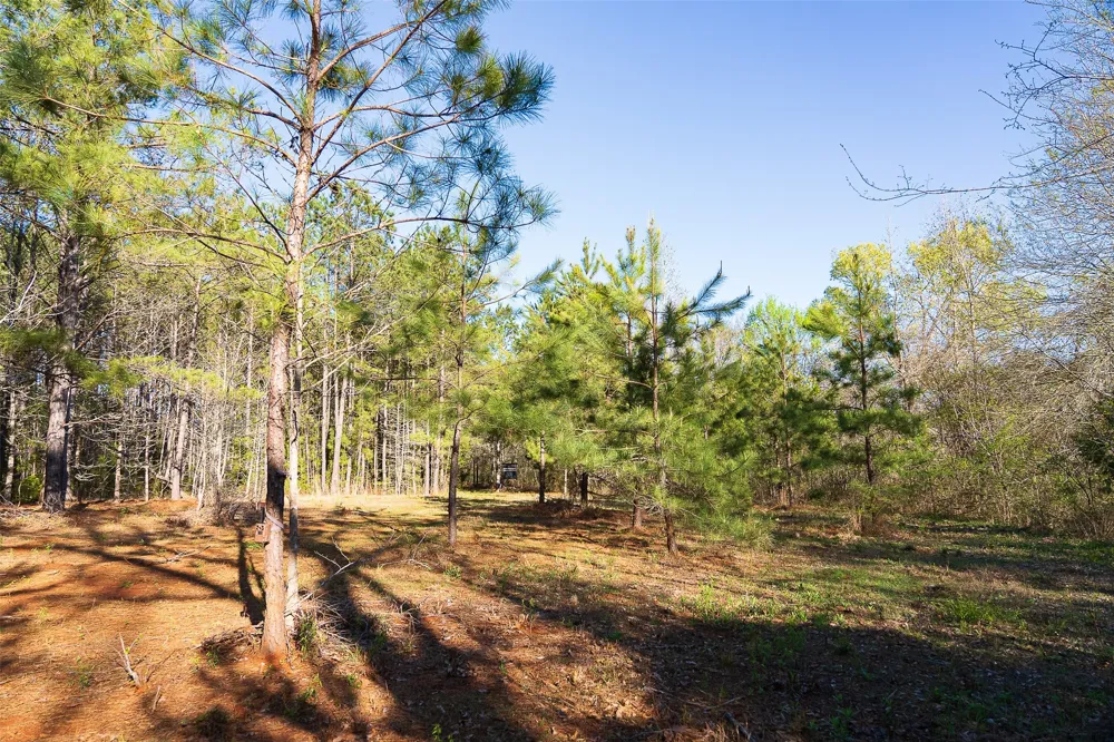 Farm to Market Road 747 Jacksonville, TX 75766