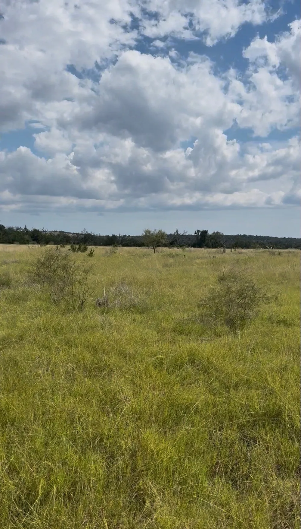 7523 N Grape Rd Fredericksburg, TX 78624