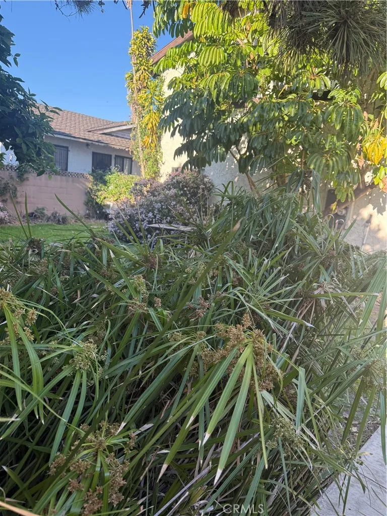 10831 PINE Los Alamitos, CA 90720
