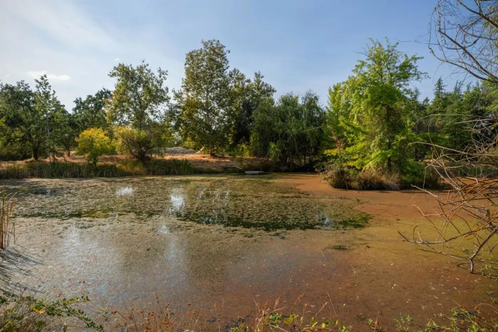 7555 Merced Falls Road Snelling, CA 95369