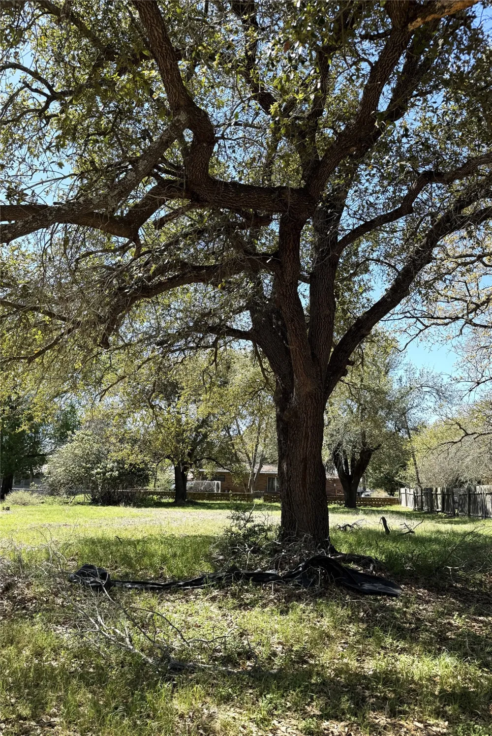 Address Not Shown Rockdale, TX 76567