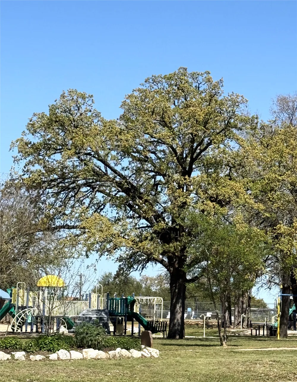 Address Not Shown Rockdale, TX 76567