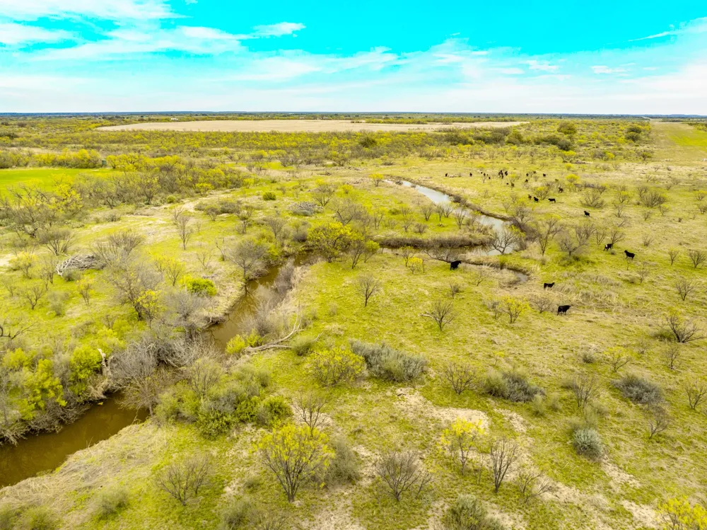 117 Private Road 541 Brady, TX 76852