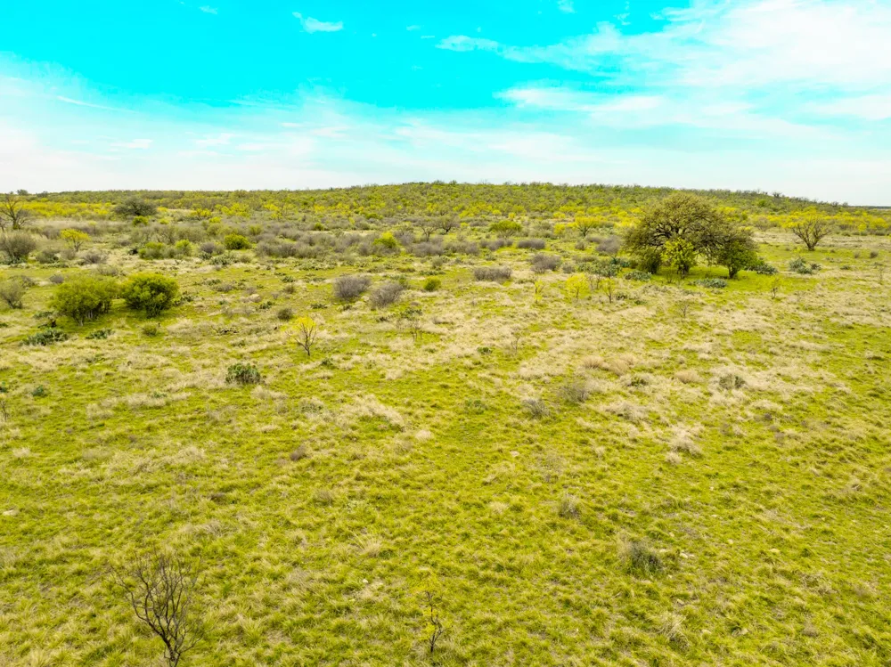 117 Private Road 541 Brady, TX 76852