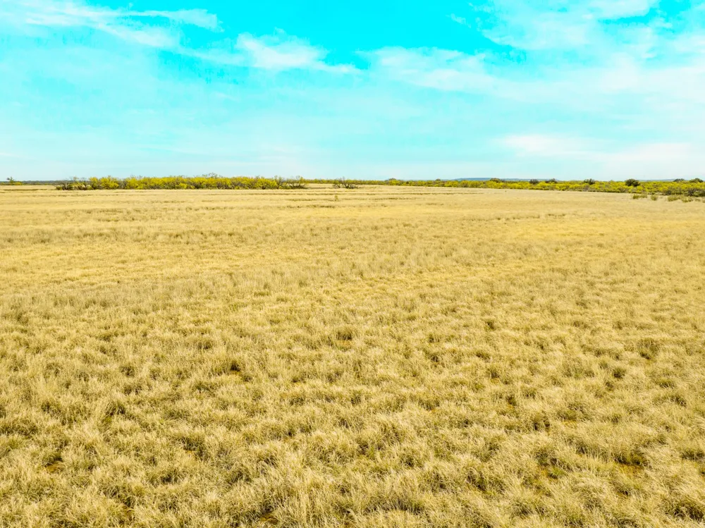 117 Private Road 541 Brady, TX 76852