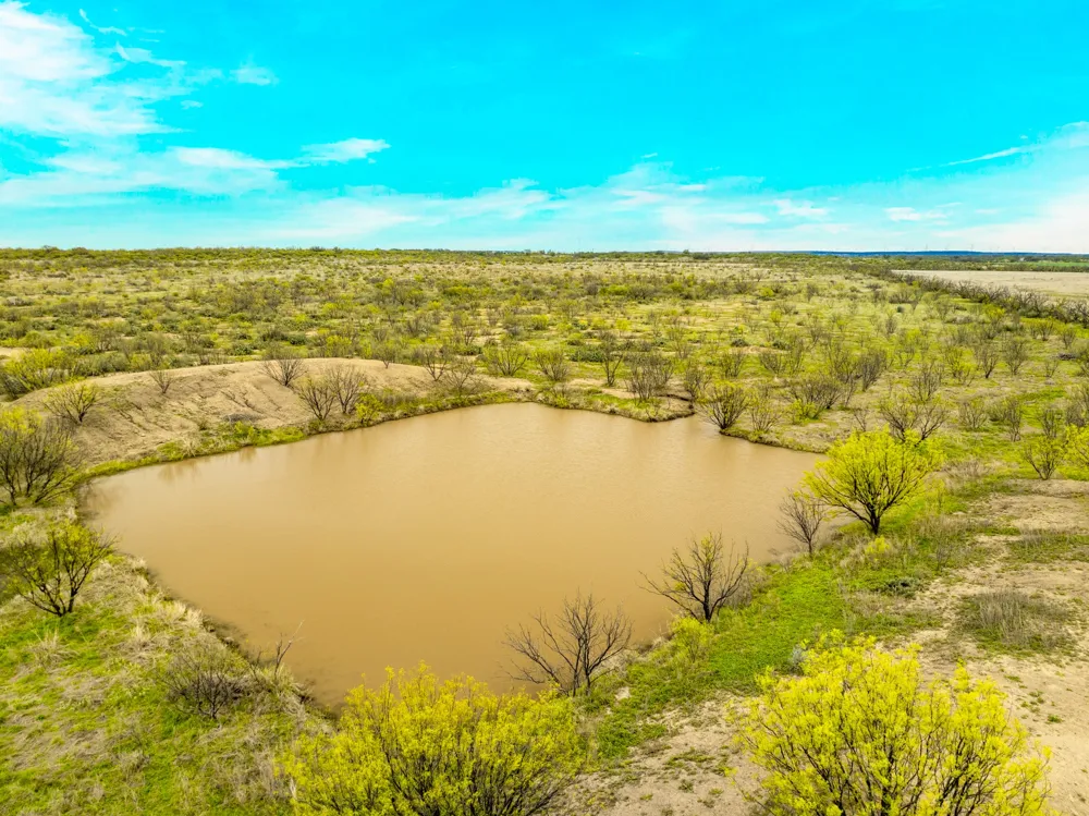117 Private Road 541 Brady, TX 76852