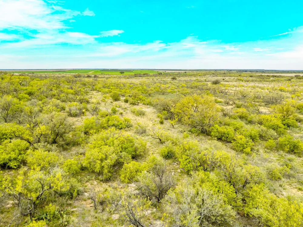 117 Private Road 541 Brady, TX 76852