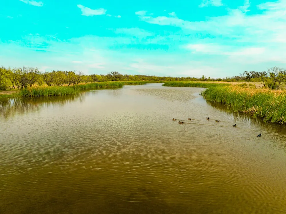 117 Private Road 541 Brady, TX 76852