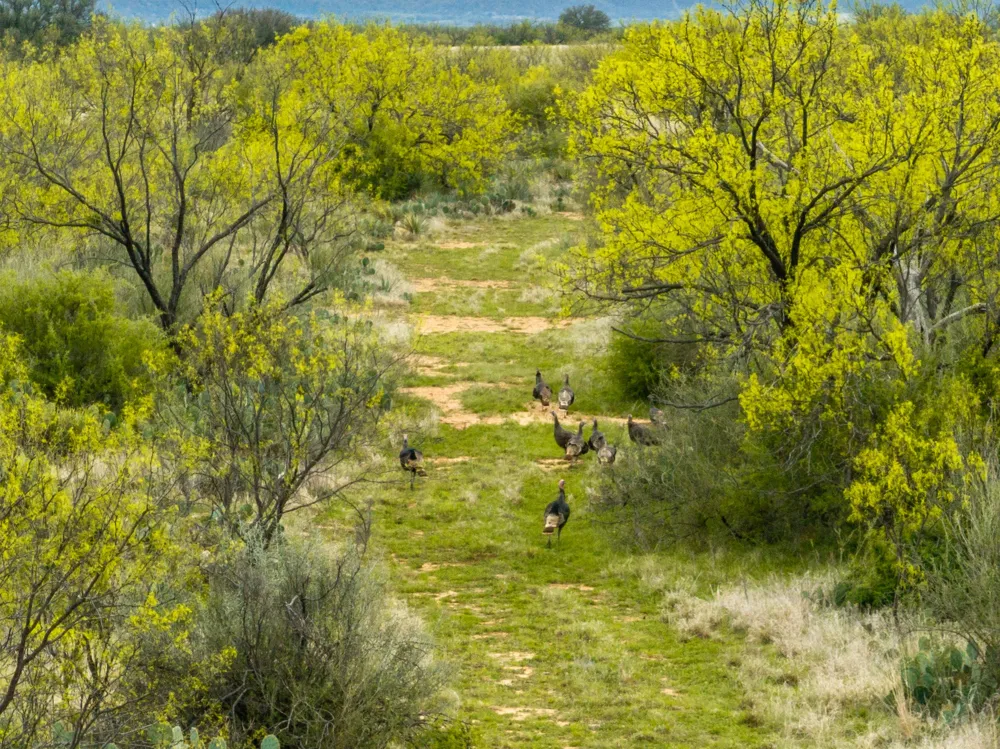 117 Private Road 541 Brady, TX 76852