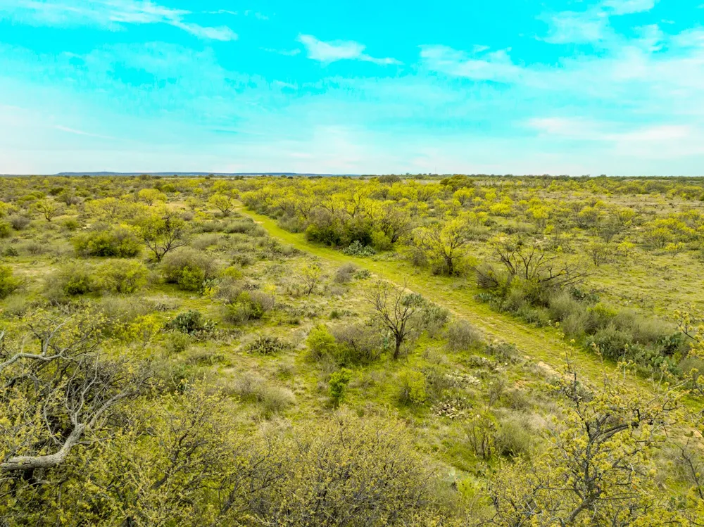 117 Private Road 541 Brady, TX 76852