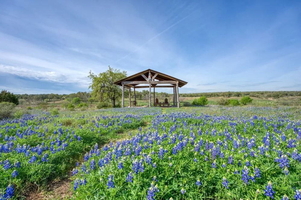158 One River Point E Johnson City, TX 78636