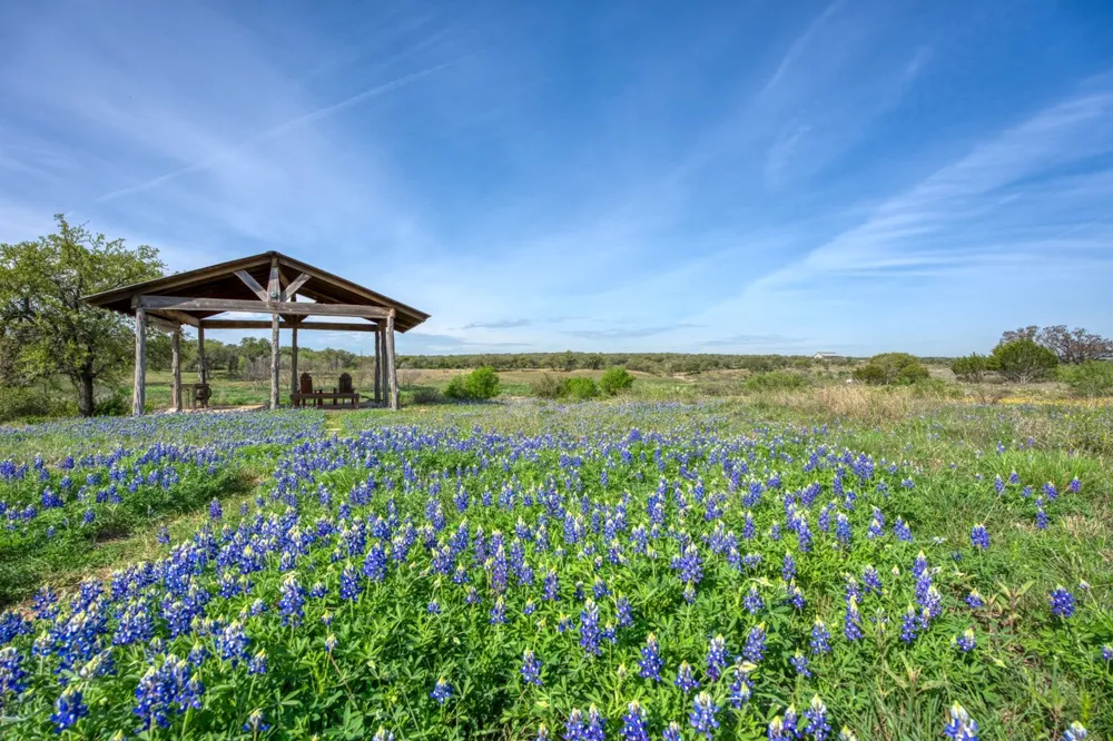 158 One River Point E Johnson City, TX 78636