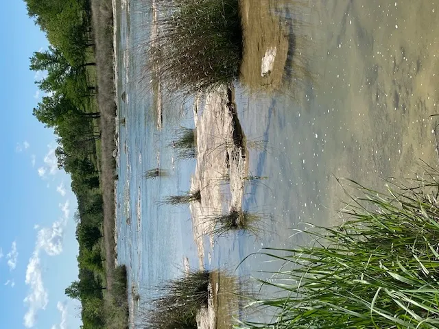 158 One River Point E Johnson City, TX 78636
