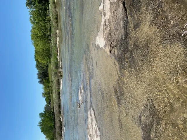 158 One River Point E Johnson City, TX 78636