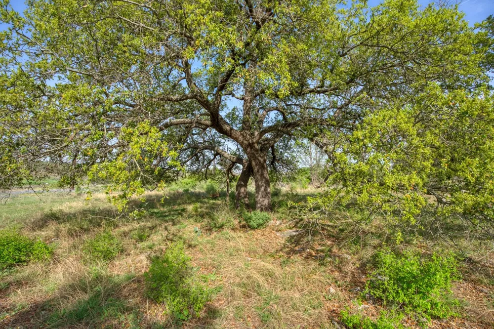 158 One River Point E Johnson City, TX 78636