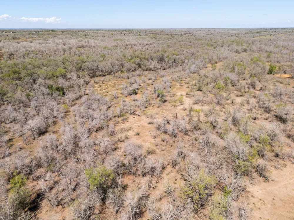 Cr 420 Waelder, TX 78959
