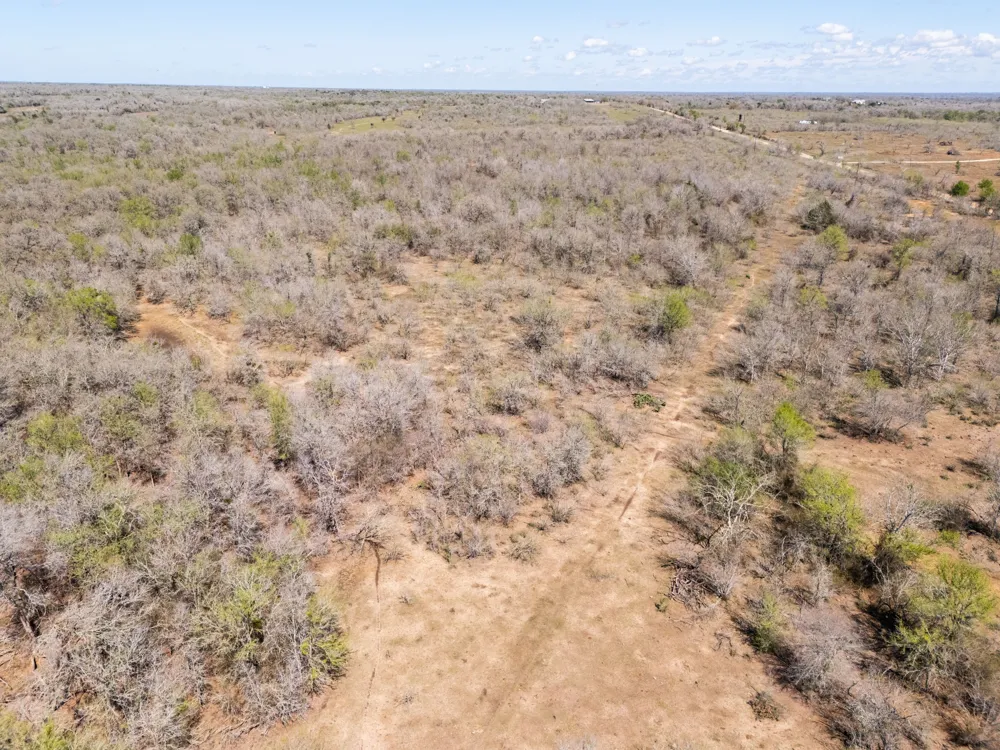 Cr 420 Waelder, TX 78959