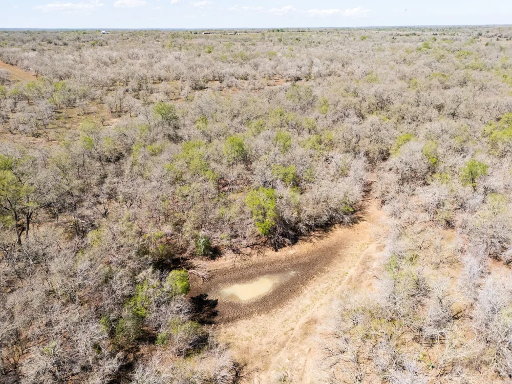 Cr 420 Waelder, TX 78959