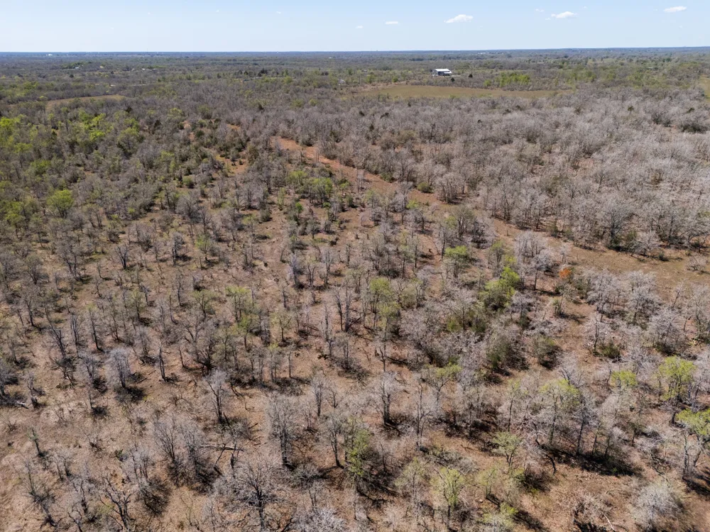 Cr 420 Waelder, TX 78959