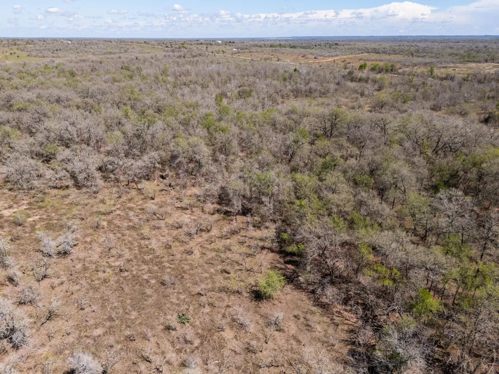 Cr 420 Waelder, TX 78959