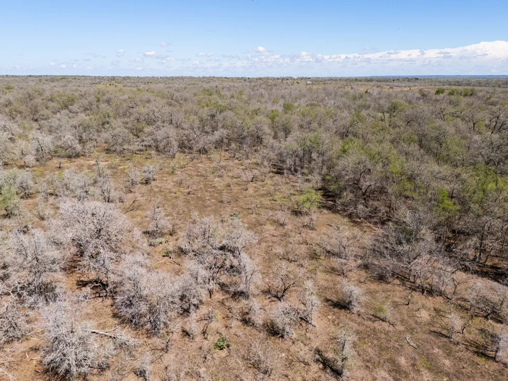 Cr 420 Waelder, TX 78959