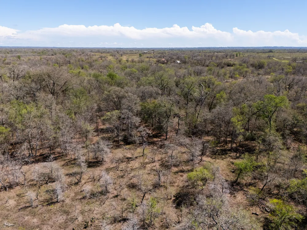 Cr 420 Waelder, TX 78959
