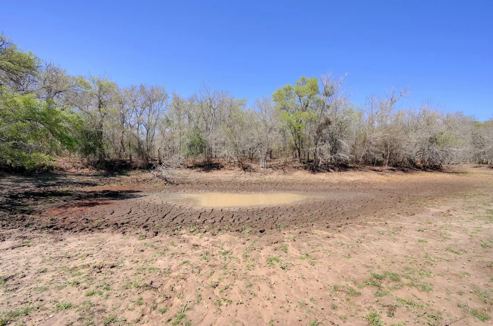 Cr 420 Waelder, TX 78959