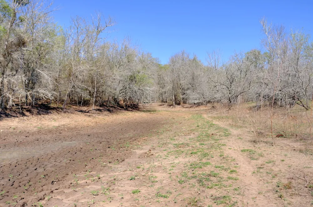 Cr 420 Waelder, TX 78959