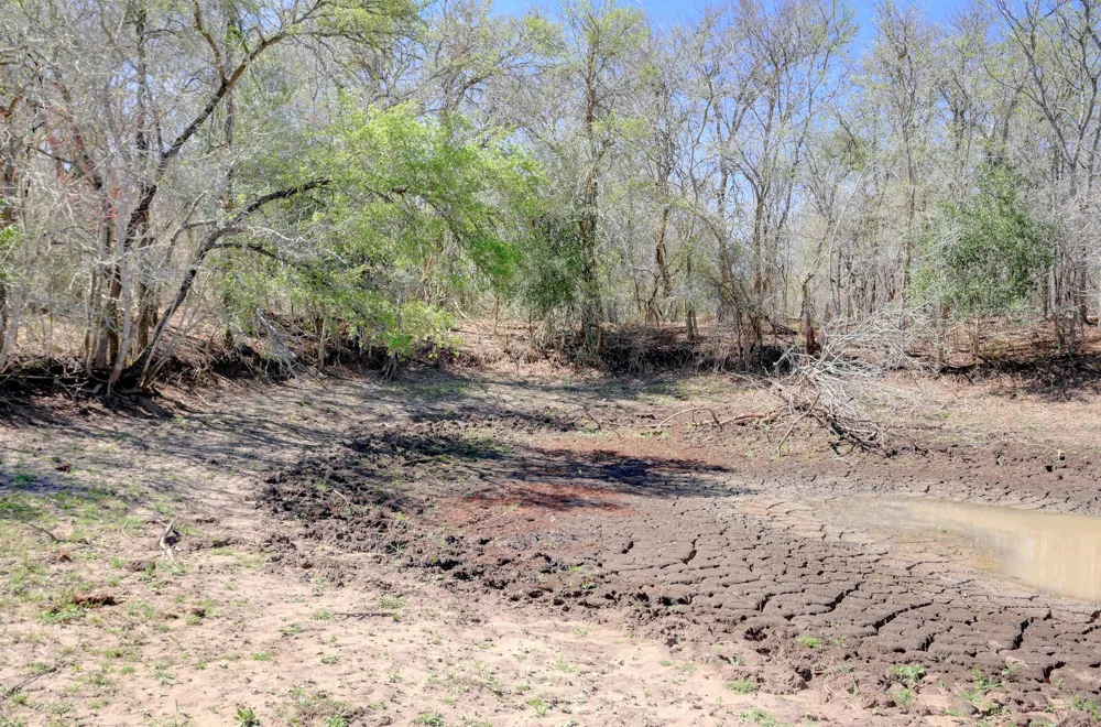 Cr 420 Waelder, TX 78959