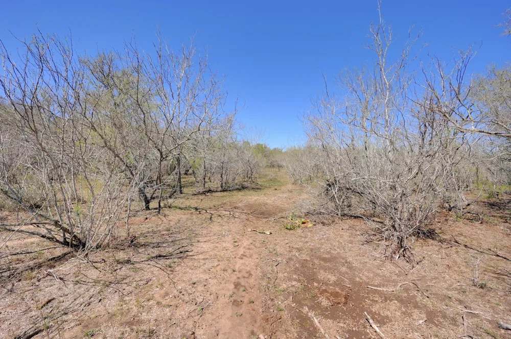 Cr 420 Waelder, TX 78959