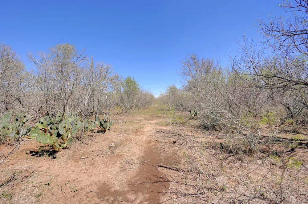 Cr 420 Waelder, TX 78959