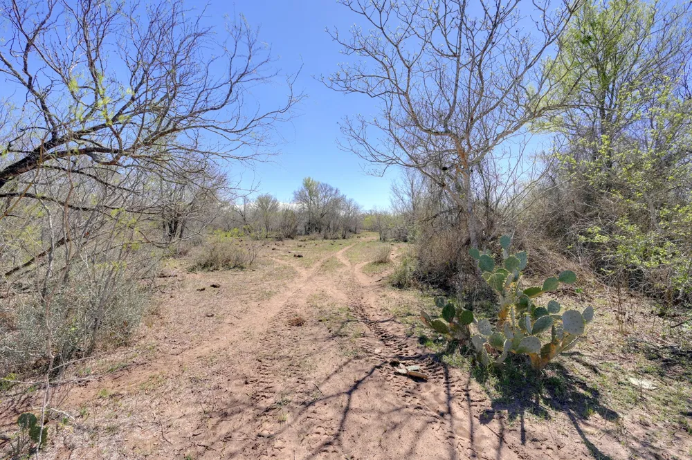 Cr 420 Waelder, TX 78959