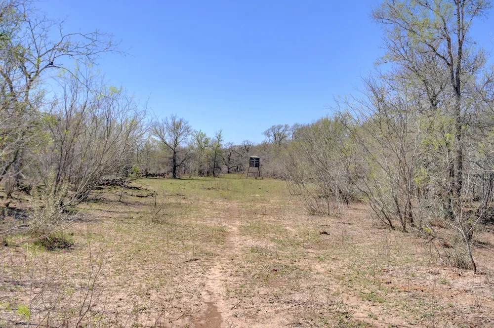 Cr 420 Waelder, TX 78959