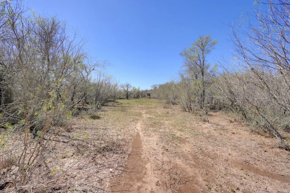 Cr 420 Waelder, TX 78959